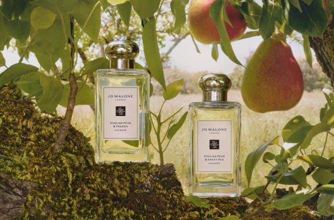 English Pear & Freesia Cologne
